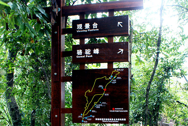 6636d11e24dec6393da483aacedcd989.jpg